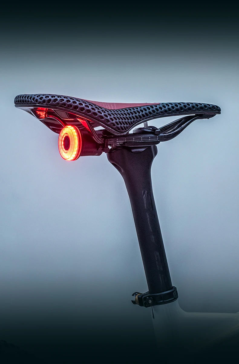 ROCKBROS Smart Bike Tail Light – IPX6 Waterproof, USB-C Rechargeable