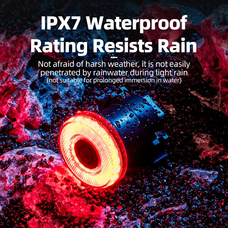 ROCKBROS Smart Bike Tail Light – IPX6 Waterproof, USB-C Rechargeable