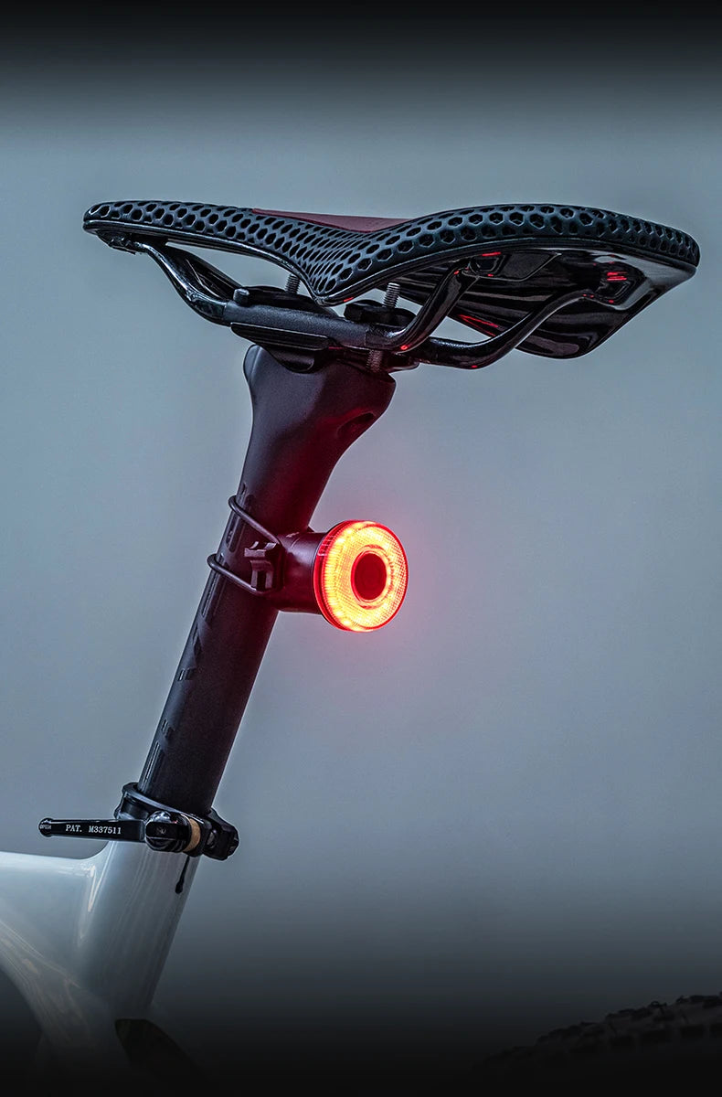 ROCKBROS Smart Bike Tail Light – IPX6 Waterproof, USB-C Rechargeable
