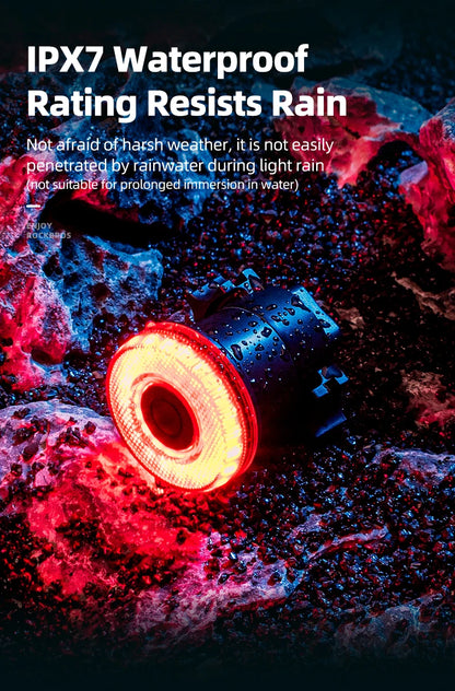 ROCKBROS Smart Bike Tail Light – IPX6 Waterproof, USB-C Rechargeable