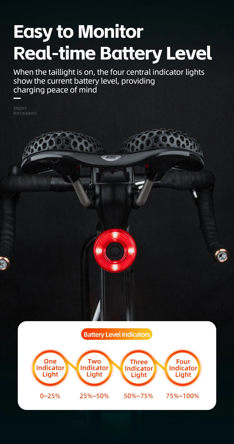 ROCKBROS Smart Bike Tail Light – IPX6 Waterproof, USB-C Rechargeable