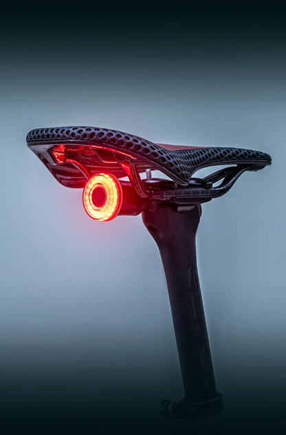 ROCKBROS Smart Bike Tail Light – IPX6 Waterproof, USB-C Rechargeable